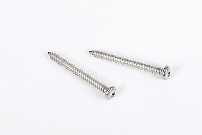 Stainless steel screw